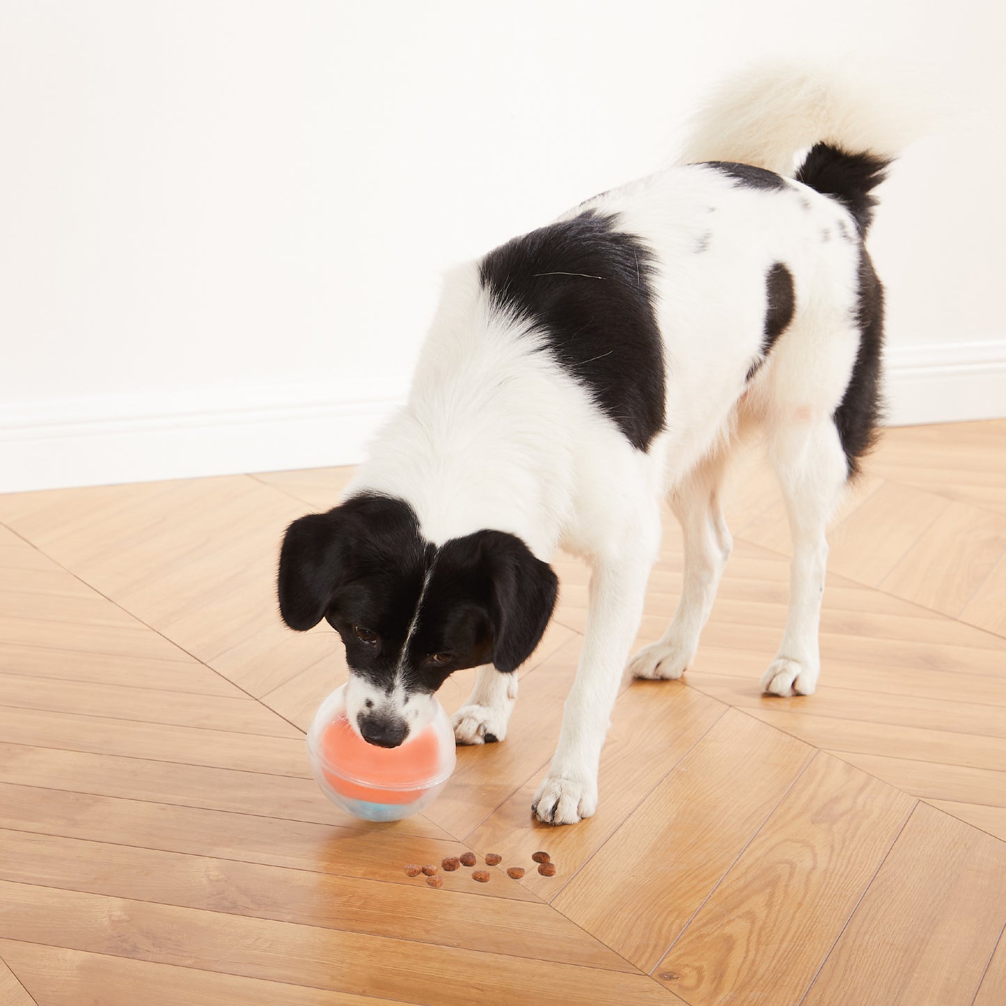 Dog Rumble Puzzle - by Nina Ottosson