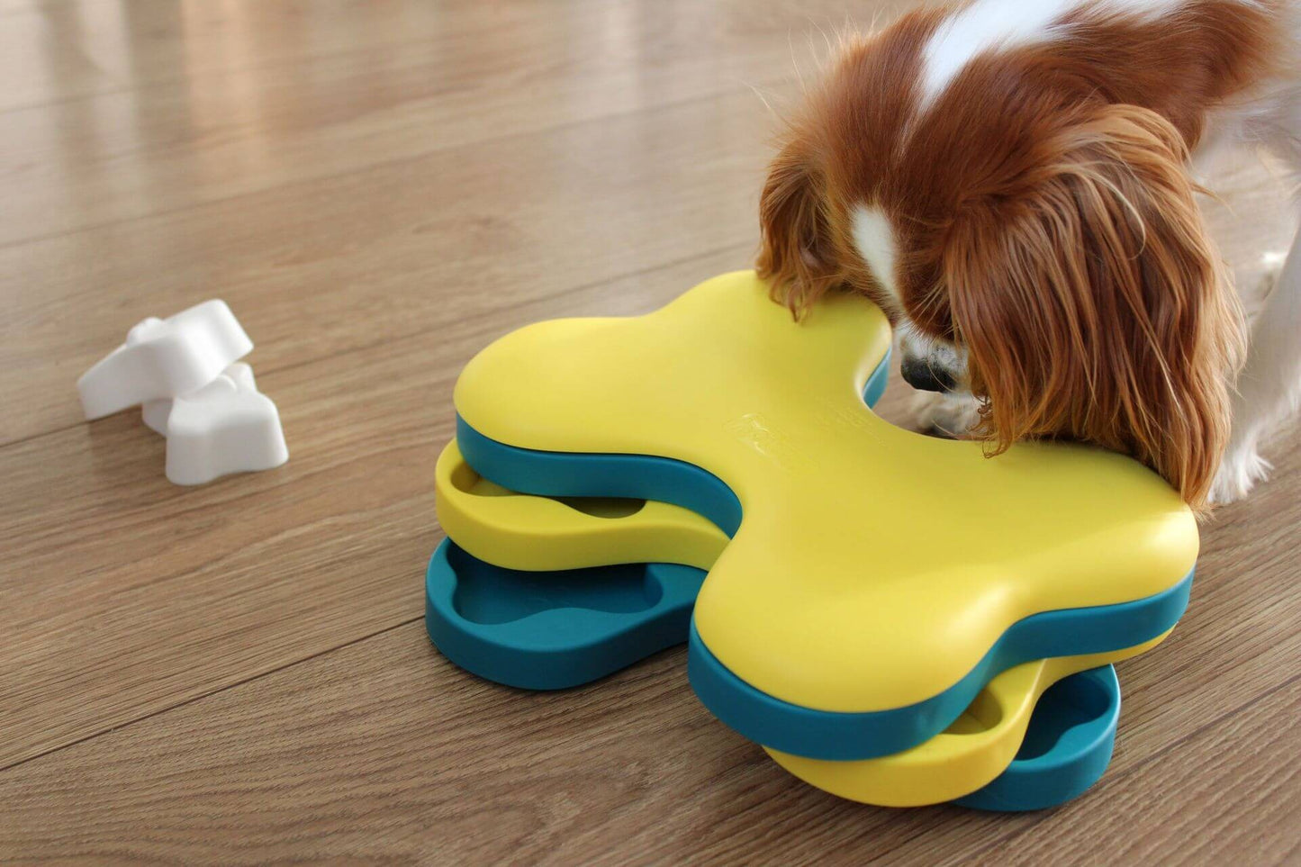 Dog Tornado by Nina Ottosson