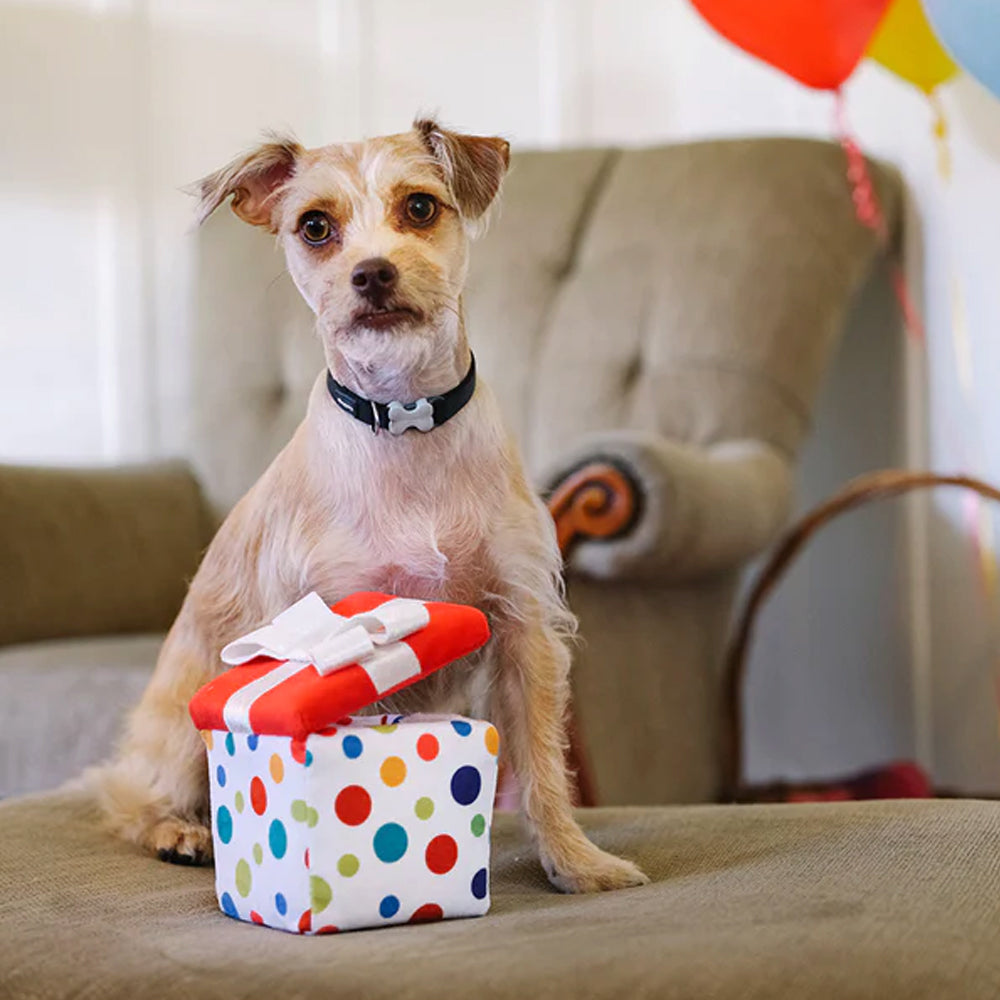Pawfect Present
