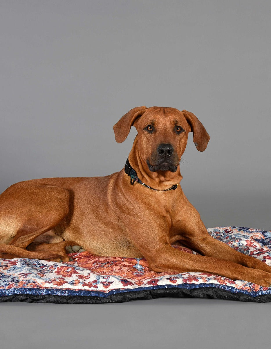 United Pets - Perzisch tapijt