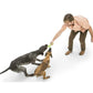 West Paw - Zogoflex Echo Skamp Paars