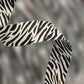 Set voor kleine hond - Zebra