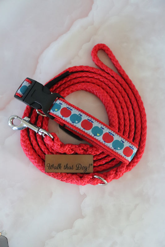 Set voor kleine hond - Pink Lady